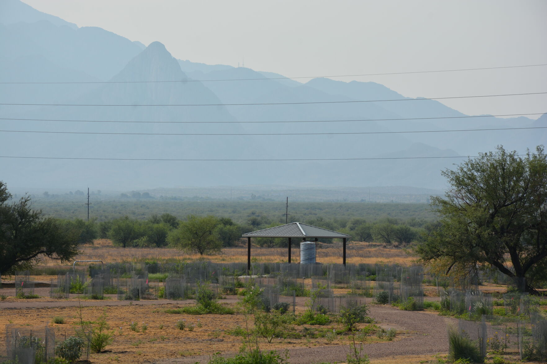 Santa Rita Mountains
